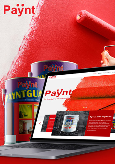 Business website design project for Paynt Malaysia by MWDesign